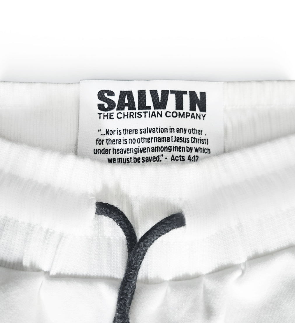 SALTVN SWEAT SET (CARMEL)